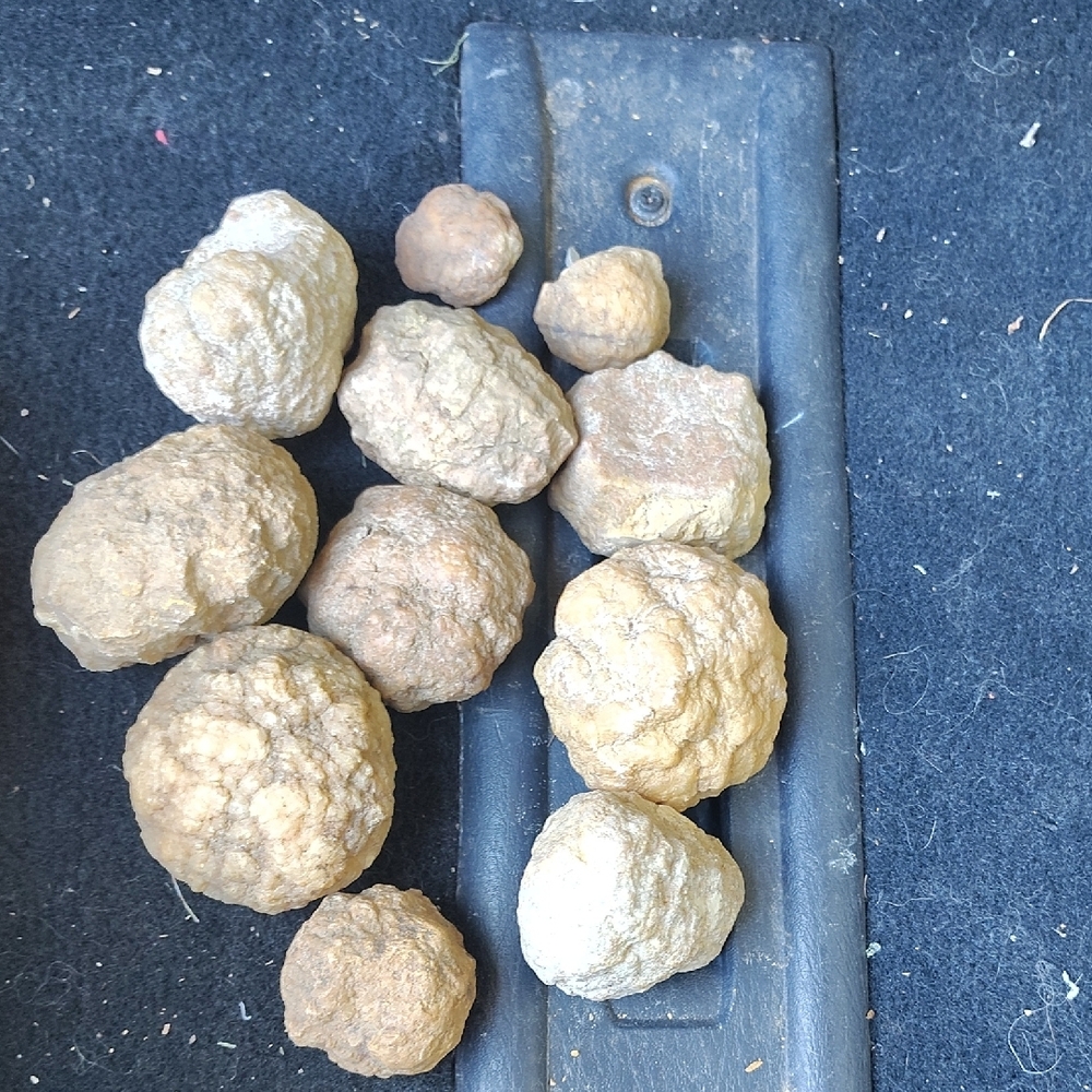Geodes - Picture 6 of 6
